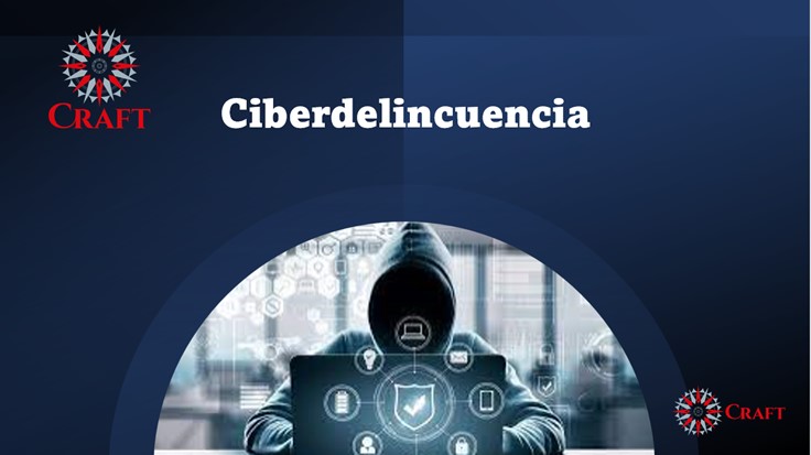 CIBERDELINCUENCIA