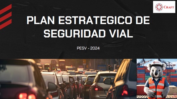 SEGURIDAD VIAL